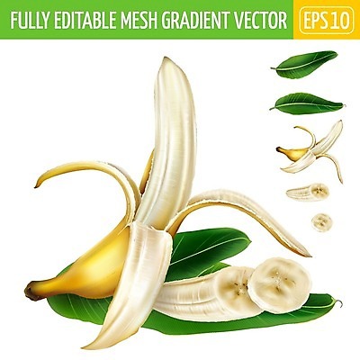 EPS 해외이미지 식물 라이프스타일 음식 잎 다이어트 과일 일러스트 자연 디저트 바나나 건강 요리 그래픽 컬러풀 노란색 주방 주스 거래 껍질 신선 달콤 맛 잼 먹기 그림 에코 유기농 슬라이스 비타민 내추럴 고립 숙성 채식주의자 현실 맛있는 해외202008 깎기 해외일러스트 웰빙 음료 컬러 컨셉 모션 생활 환경 소스_음식 생태계 채식 영양소 파일형식 벡터