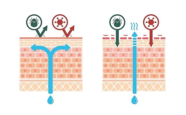EPS 해외이미지 신체 일러스트 해부 건조 세포 건강 사람 치료 약 건강관리 손상 고통 환자 의사 질병 피부 문제 알레르기 고립 돌봄 증상 해외202008 해외일러스트 감정 컨셉 의학 모션 관리 신체부위 의료진 파일형식 벡터