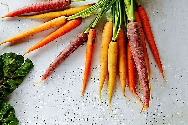 포토 JPG 해외이미지 음식 백그라운드 잎 농업 다이어트 채소 오렌지 재료 자연 건강 종류 사람없음 빨간색 컬러풀 쌓기 정원 식사 저녁식사 당근 샐러드 수확 아기 신선 시장 다발 먹기 유기농 날것 뿌리 섬유 층 흙더미 내추럴 점심식사 섞기 숙성 영양소 진짜 채식주의자 바삭바삭 해외202008 해외포토 식물 웰빙 산업 컬러 컨셉 과일 모션 뿌리채소 사람 흙 직물 생태계 채식 파일형식 더미