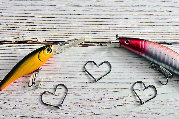 포토 JPG 해외이미지 전통 라이프스타일 선 스포츠 바다 백그라운드 컨셉 일러스트 자연 낚시 휴가 휴식 기술 어류 취미 사람없음 목재 금속 고요 기쁨 장비 마음 잡기 유혹 오브젝트 민물 엘리먼트 해외202008 해외포토 나무 감정 재료 모션 재질 레저 생활 수중동물 생태계 파일형식