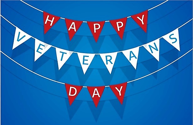 EPS 해외이미지 디자인 배너 기념일 행복 포스터 별 백그라운드 일러스트 텍스트 휴가 이벤트 그래픽 빨간색 파란색 미국 화환 자유 수확 흰색 축하 깃발 인사 신용카드 11월 심볼 사인 군용 전쟁 육군 풍선 병정 기념물 애국심 명예 독립 전국 해외202008 해외일러스트 자연요소 꽃 감정 컬러 컨셉 북아메리카 농업 군대 금융 예절 날짜 파일형식 벡터