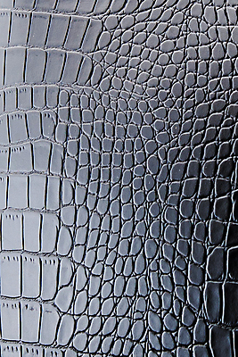 포토 JPG 해외이미지 아시아 호수 야생동물 파충류 아프리카 태국 사람없음 물 강 농장 머리 검은색 수영 힘 경쟁 연못 입 황무지 진화 치아 위험 라이벌 위협 사파리 피부 공룡 눈금 꼬리 사냥 도마뱀 육식동물 악어 사냥꾼 숨김 나쁜 몬스터 힘찬 해외202008 포악 해외포토 자연요소 동물 직업 나라 컬러 컨셉 농업 신체부위 수상스포츠 소화기관 소방 파일형식