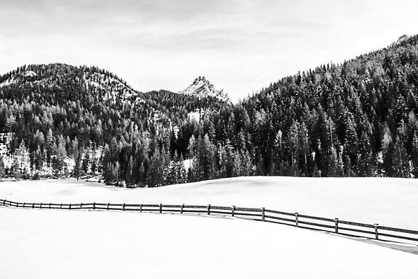 포토 JPG 해외이미지 나무 공원 유럽 여행 백그라운드 밭 자연 하늘 휴가 산 풍경 초원 사람없음 야외 목재 여름 파란색 울타리 농장 마을 환경 계곡 고요 이탈리아 트래킹 하이킹 시골 숲 오솔길 언덕 그림 알프스 장면 내추럴 절정 해외202008 해외포토 식물 계절 공공시설 나라 길 컬러 농업 재료 레저 담장 생태계 파일형식