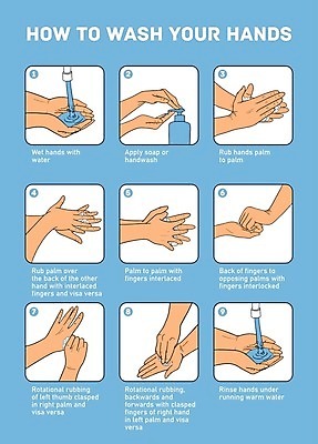 EPS 해외이미지 손 일러스트 신체부위 정보 예방 손씻기 손씻기방법 코로나바이러스 생활방역 해외202008 델타변이바이러스 해외일러스트 사람 바이러스 씻기 방법 방역 파일형식 벡터