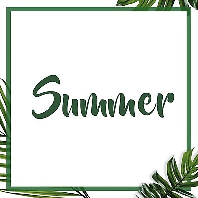 EPS 해외이미지 나무 식물 템플릿 디자인 배너 백그라운드 잎 꽃무늬 일러스트 자연 벽지 휴가 프레임 손바닥 그래픽 장식 초록색 유행 환경 봄 수확 흰색 숲 휴양지 정사각형 하와이 그리너리 국경 해외202008 해외일러스트 도형 손 계절 꽃 컬러 무늬 농업 미국 장소 생태계 파일형식 벡터 트랜드컬러