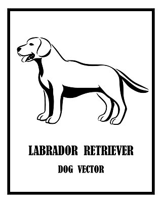 EPS 해외이미지 동물 디자인 실루엣 선 백그라운드 일러스트 포유류 발 자연 미술 서기 경비 그래픽 반려동물 농장 라벨 검은색 수확 흰색 작업 황금 양치기 개 리트리버 강아지 만화 스케치 래브라도리트리버 심볼 사인 복고 보안 사냥 사냥꾼 송곳니 고립 기르기 동반자 마스코트 해외202008 해외일러스트 직업 컬러 농업 모션 문화예술 프레임 촬영기법 안전 신체부위 치아 보호 생태계 돌봄 파일형식 벡터