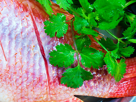 포토 JPG 해외이미지 음식 백그라운드 재료 탁자 건강 어류 요리 사람없음 목재 빨간색 냉동 얼음 검은색 식사 저녁식사 추위 흰색 신선 시장 먹기 해산물 준비 날것 해외202008 해외포토 자연요소 나무 컬러 가구 모션 수중동물 파일형식