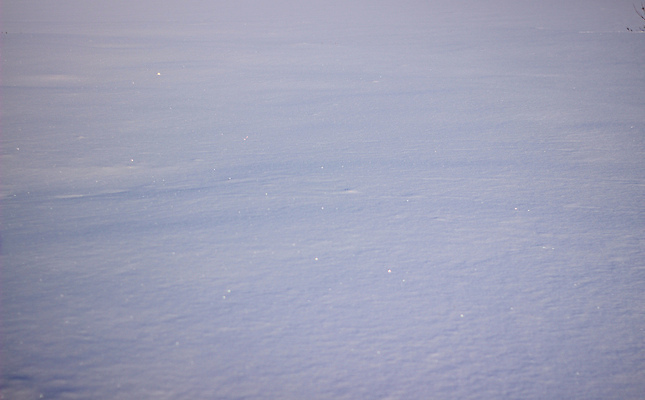 포토 JPG 해외이미지 계절 백그라운드 크리스마스 겨울 패턴 자연 표면 날씨 추상 휴가 새로움 사람없음 빛 햇빛 우주 맑음 얼음 추위 흰색 신선 눈송이 매끈함 시원함 12월 크리스탈 순수 묘사 질감 서리 부드러움 1월 내추럴 눈내림 해외202008 해외포토 자연요소 기념일 컬러 컨셉 무늬 눈_날씨 태양 감각 날짜 광석 생태계 파일형식