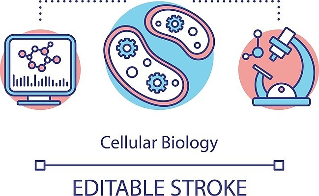 EPS 해외이미지 일러스트 세포 실험 사람없음 DNA 생물학 미생물 바이오 해외202008 해외일러스트 교육 생물 생명공학 파일형식 벡터