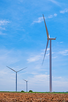 포토 JPG 해외이미지 식물 실루엣 산업 아시아 태국 바람 동양인 사람없음 초록색 글로벌 농장 환경 탑 금속 힘 일몰 재활용 풍차 발전기 에너지 행운 칼날 역 보호 생태계 프로펠러 회전 자원 세대 유지 방앗간 혁명 개발 생태학 효율 공급 해외202008 해외포토 자연요소 건축물 교육 나라 컬러 컨셉 농업 교통시설 재질 날씨 촬영기법 인종 노을 발전소 친환경 파일형식