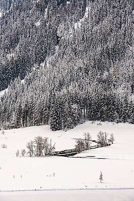 포토 JPG 해외이미지 나무 계절 여행 백그라운드 겨울 자연 하늘 아침 날씨 산 풍경 사람없음 야외 목재 물 파란색 강 평화 계곡 얼음 추위 흰색 시골 소나무 개울 황무지 숲 12월 서리 알프스 내추럴 눈내림 해외202008 해외포토 주간 자연요소 식물 유럽 컬러 컨셉 재료 눈_날씨 날짜 생태계 파일형식