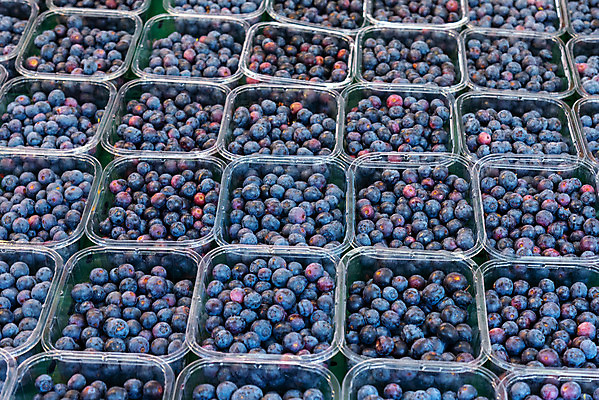 포토 JPG 해외이미지 식물 계절 열매 음식 조각 농업 다이어트 채소 과일 자연 디저트 건강 사람없음 빨간색 컬러풀 정원 봄 활발 샐러드 수확 신선 시장 달콤 맛 아침식사 농부 먹기 상쾌 유기농 블루베리 칼로리 무침 내추럴 분양 생태학 월귤 채식주의자 맛있는 해외202008 해외포토 직업 웰빙 교육 감정 산업 컬러 컨셉 모션 부동산 식사 생태계 채식 파일형식