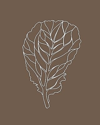 EPS 해외이미지 식물 디자인 선 음식 백그라운드 잎 농업 다이어트 채소 일러스트 재료 자연 건강 요리 그래픽 초록색 여름 농장 갈색 주방 정원 봄 샐러드 흰색 신선 상추 먹기 오브젝트 그림 유기농 양배추 날것 윤곽 섬유 내추럴 고립 엘리먼트 채식주의자 로메인상추 비건 해외202008 해외일러스트 웰빙 계절 산업 컬러 모션 직물 생태계 채식 파일형식 벡터