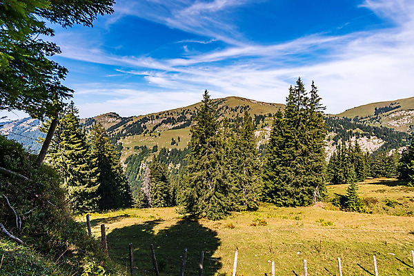 포토 JPG 해외이미지 공원 꽃 여행 자연 휴가 산 주택 파노라마 사람없음 야외 빛 평화 걷기 트래킹 하이킹 자유 조약돌 보호 정상 숲 오르기 알프스 멸종 8월 무료 절정 회복 바이에른 바이에른사람 해외202008 해외포토 식물 공공시설 유럽 컨셉 모션 레저 독일 촬영기법 건물 돌_바위 날짜 생태계 파일형식