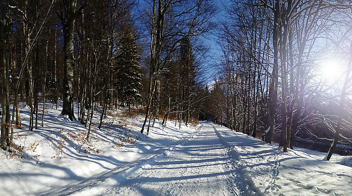 포토 JPG 해외이미지 나무 식물 계절 공원 도로 여행 백그라운드 겨울 자연 하늘 날씨 파노라마 풍경 사람없음 야외 목재 파란색 빛 평화 걷기 환경 냉동 하이킹 추위 흰색 나뭇가지 시골 고독 숲 서리 장면 내추럴 눈내림 해외202008 해외포토 공공시설 감정 길 컬러 컨셉 재료 교통시설 모션 레저 눈_날씨 촬영기법 생태계 파일형식