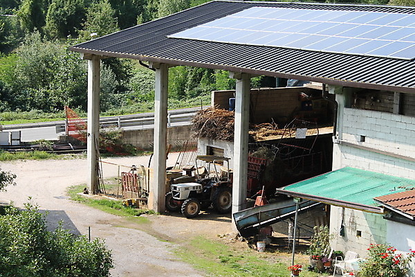 포토 JPG 해외이미지 나무 식물 디자인 공원 꽃 꽃무늬 건축양식 창문 유리 지붕 미래 주택 사람없음 야외 건물 태양 정원 흰색 뜨거움 클래식 원예 동물상 빅토리아 온실 해외202008 해외포토 자연요소 건축물 공공시설 건축 컬러 컨셉 무늬 재질 취미 조형물 파일형식