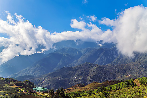 포토 JPG 해외이미지 나무 전통 아시아 여행 밭 자연 하늘 밥 휴가 산 주택 파노라마 풍경 초원 사람없음 야외 건물 초록색 여름 여행객 마을 정원 계곡 봄 하이킹 안개 시골 숲 땅 언덕 베트남 커뮤니티 내추럴 해외202008 해외포토 식물 건축물 계절 나라 음식 컬러 농업 레저 날씨 촬영기법 사람 동남아시아 생태계 파일형식