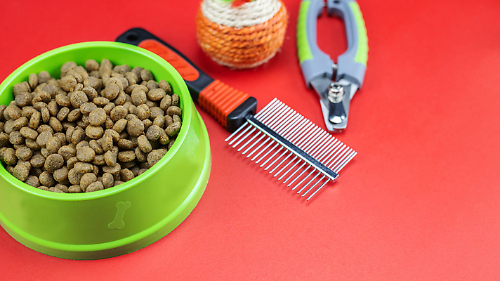 포토 JPG 해외이미지 동물 접시 음식 다이어트 뼈 건조 털 사람없음 물 반려동물 장난감 뷰티 장비 기차 코트 흰색 공구 대접 붓 머리빗 최고 그룹 사발 닫기 개 강아지 먹이 자르기 먹기 오브젝트 몸단장 고립 기르기 더블 돌봄 영양분 칭찬 해외202008 해외포토 자연요소 식기 육상교통 컬러 포유류 모션 대중교통 건강 외투 도구 미용용품 사기그릇 파일형식