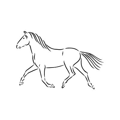 EPS 해외이미지 클립아트 동물 디자인 실루엣 선 스포츠 백그라운드 일러스트 포유류 자연 추상 흑백 미술 그래픽 달리기 농장 머리 검은색 힘 자유 흰색 황무지 승마 우아함 승차 스케치 문신 사인 속도 그림 윤곽 갈기 부족 고립 서쪽 엘리먼트 해외202008 해외일러스트 컬러 컨셉 무늬 농업 모션 문화예술 촬영기법 신체부위 방향 생태계 파일형식 벡터