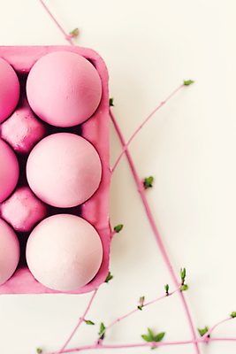 포토 JPG 해외이미지 디자인 계절 꽃 행복 음식 분홍색 백그라운드 컨셉 꽃무늬 패턴 벽지 추상 휴가 부활절 선물 사람없음 그래픽 장식 세로 초록색 빛 상자 우주 축제 페인트 봄 흰색 나뭇가지 축하 인사 신용카드 심볼 질감 보케 엽서 고립 파스텔톤 카피스페이스 해외202008 해외포토 나무 식물 기념일 감정 컬러 무늬 금융 공백 예절 편지 파일형식