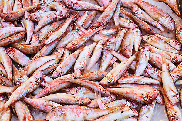 포토 JPG 해외이미지 동물 음식 바다 백그라운드 다이어트 자연 낚시 건강 육류 어류 요리 사람없음 빨간색 판매 세일 얼음 식사 이탈리아 신선 시장 지중해 먹기 해산물 오징어 날것 어장 나폴리 단백질 분양 생식 소금물 많음 맛있는 해외202008 해외포토 자연요소 유럽 컬러 컨셉 식재료 모션 레저 부동산 연체동물 수중동물 생태계 영양소 파일형식