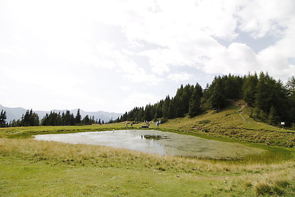 포토 JPG 해외이미지 호수 여행 백그라운드 자연 산 파노라마 아이슬란드 이끼 풍경 사람없음 초록색 물 파란색 컬러풀 햇빛 환경 계곡 맑음 작음 큼 땅 고도 생태계 산등성이 빙하 알프스 장면 산악지대 강렬 생태학 특별함 눈내림 그리너리 해외202008 해외포토 자연요소 교육 유럽 컬러 컨셉 날씨 눈_날씨 촬영기법 태양 크기 파일형식 트랜드컬러