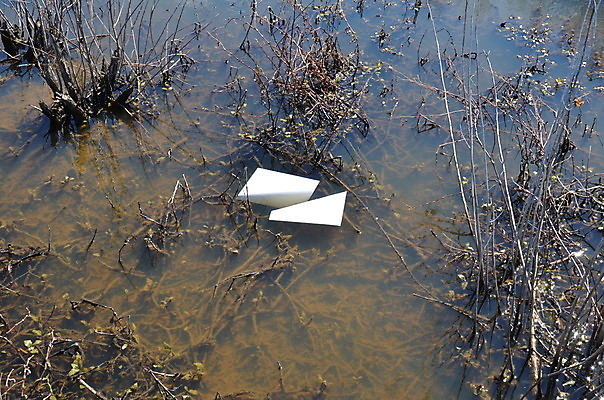 포토 JPG 해외이미지 식물 종이 호수 사람없음 물 강 연못 개울 쓰레기 폐기물 시트 해외202008 해외포토 자연요소 파일형식