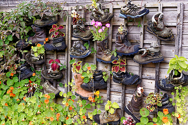 포토 JPG 해외이미지 식물 디자인 계절 꽃 백그라운드 신발 컨셉 꽃무늬 자연 휴식 아이디어 프레임 풍경 사람없음 야외 목재 장식 초록색 여름 컬러풀 마을 정원 봄 수확 골동품 벚꽃 시골 신선 클래식 냄비 배열 원예 복고 조경 내추럴 심기 옛날 스타일 해외202008 해외포토 나무 컬러 무늬 농업 재료 모션 취미 솥 생태계 파일형식