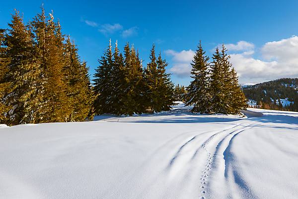 포토 JPG 해외이미지 나무 구름 유럽 여행 겨울 자연 하늘 휴가 스키 산 파노라마 풍경 사람없음 야외 파란색 태양 맑음 냉동 얼음 트래킹 하이킹 추위 성장 흰색 소나무 숲 언덕 서리 북쪽 슬로프 산악지대 웅장함 절정 폭설 눈내림 가문비나무 해외202008 해외포토 자연요소 식물 계절 나라 컬러 레저 날씨 겨울스포츠 스키장 눈_날씨 촬영기법 자연재해 방향 생태계 파일형식