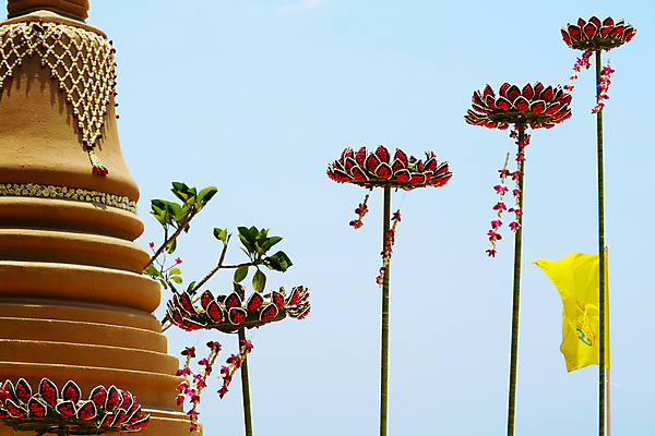 포토 JPG 해외이미지 전통 꽃잎 꽃 종교 문화 모래 여행 백그라운드 불교 건축양식 태국 자연 미술 사람없음 야외 건물 장식 컬러풀 조각상 여행객 탑 축제 기도 깃발 사찰 영혼 승려 심볼 명상 사당 사리탑 숭배 신앙심 파멸 해외202008 해외포토 식물 건축물 건축 아시아 컬러 컨셉 종교건축 문화예술 사람 조형물 성직자 생태계 파일형식 소멸