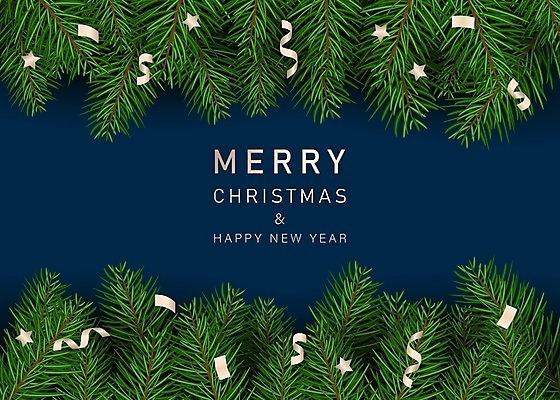 EPS 해외이미지 나무 식물 템플릿 전통 디자인 배너 계절 백그라운드 크리스마스 겨울 패턴 일러스트 자연 벽지 휴가 새로움 프레임 장식 초록색 3D 축제 나뭇가지 축하 소나무 신용카드 화려 연도 질감 상록수 전나무 내추럴 가문비나무 현실 국경 해외202008 해외일러스트 기념일 컬러 컨셉 무늬 금융 디지털합성 생태계 파일형식 벡터