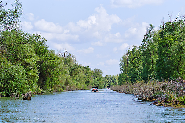 포토 JPG 해외이미지 나무 식물 계절 공원 호수 야생동물 여행 자연 하늘 그림자 풍경 사람없음 야외 초록색 물 여름 강 반사 여행객 마을 봄 보트 행운 황무지 숲 수로 운하 루마니아 예약 내추럴 다뉴브강 뱃놀이 채널 해외202008 해외포토 자연요소 동물 공공시설 유럽 컬러 컨셉 배_교통 사람 전통놀이 생태계 파일형식