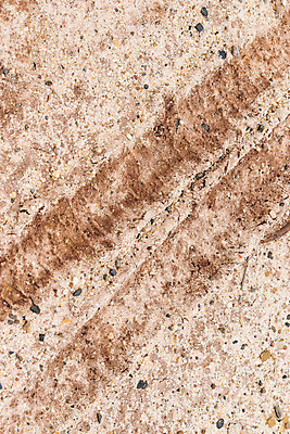 포토 JPG 해외이미지 도로 길 물결 선 여행 백그라운드 패턴 자국 자동차 자연 건조 사람없음 야외 갈색 가장자리 땅 질감 타이어 먼지 지역 트랙터 짐차 땅바닥 선로 자취 수평선 각인 해외202008 해외포토 육상교통 컬러 무늬 교통시설 바닥 둘레 농기계 생태계 특수차량 파일형식