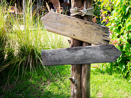 포토 JPG 해외이미지 배너 꽃 잎 자연 날씨 이끼 사람없음 야외 목재 초록색 정원 공백 방 시골 널 사인 철사 환영 그런지 뒤뜰 카피스페이스 그리너리 해외202008 해외포토 나무 식물 컬러 재료 생태계 파일형식 트랜드컬러