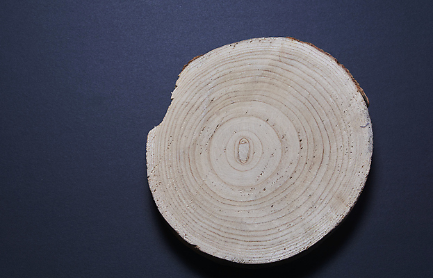 포토 JPG 해외이미지 모양 나무 백그라운드 오렌지 부분 자연 표면 사람없음 목재 갈색 어둠 줄무늬 재활용 성장 흰색 죽음 원형 거친 균열 횡단보도 선탠 숲 낟알 자르기 연도 묘사 유기농 질감 내추럴 고립 생태학 옛날 디테일 나무배경 해외202008 해외포토 도형 식물 웰빙 교육 컬러 무늬 과일 재료 모션 보행로 친환경 생태계 파일형식