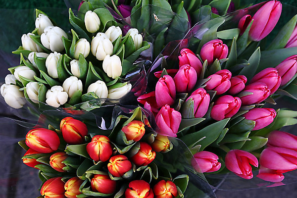 포토 JPG 해외이미지 식물 계절 꽃 분홍색 꽃다발 백그라운드 잎 농업 자연 버튼 사람없음 빨간색 초록색 머리 세일 봄 튤립 벚꽃 흰색 신선 개화 시장 닫기 정상 각도 소매 밭일 많음 해외202008 해외포토 산업 컬러 컨셉 모션 신체부위 생태계 파일형식