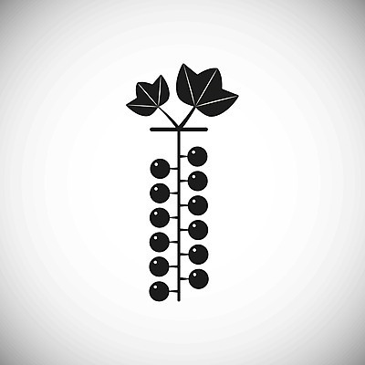 EPS 해외이미지 모양 열매 실루엣 음식 줄기 잎 농업 다이어트 일러스트 자연 디저트 건강 여름 농장 주스 신선 그리기 그룹 황금 플랫 달콤 먹기 심볼 오브젝트 사인 유기농 날것 심플 칼로리 내추럴 건포도 고립 대칭 숙성 채식주의자 스타일 비건 맛있는 해외202008 해외일러스트 식물 웰빙 계절 산업 음료 모션 포도 촬영기법 맛 생태계 채식 건과일 파일형식 벡터