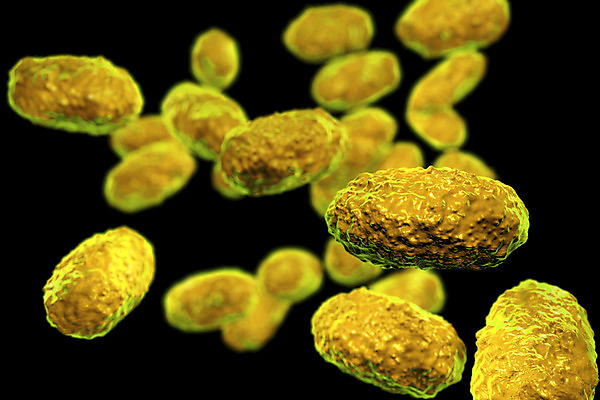 포토 JPG 해외이미지 일러스트 건강 사람없음 3D 검은색 고통 질병 감염 미생물 박테리아 고립 해외202008 해외포토 감정 컬러 의학 생물 디지털합성 파일형식