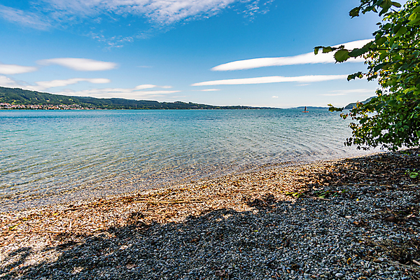 포토 JPG 해외이미지 나무 응시 계절 스포츠 여행 자국 모션 자연 휴가 휴식 거리 건강 사람없음 야외 초록색 물 환경 골짜기 봄 하이킹 자유 시골 숲 배낭여행 천국 생태학 파멸 해외202008 해외포토 자연요소 식물 시선 교육 컬러 컨셉 레저 생태계 파일형식 소멸