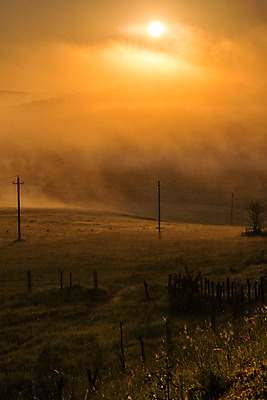 포토 JPG 해외이미지 나무 식물 계절 실루엣 선 백그라운드 밭 자연 하늘 아침 날씨 안테나 풍경 초원 사람없음 야외 초록색 여름 빛 햇빛 태양 노란색 일출 환경 계곡 맑음 힘 침묵 봄 새벽 안개 시골 땅 심플 장면 봉 내추럴 뿌연 해외202008 해외포토 주간 자연요소 컬러 농업 통신 촬영기법 노을 소리 생태계 파일형식