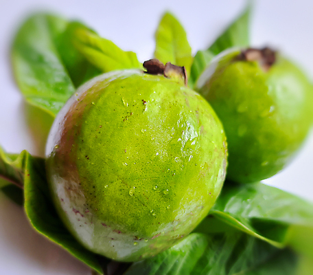 포토 JPG 해외이미지 식물 아시아 음식 리플렛 조각 백그라운드 잎 농업 다이어트 채소 과일 자연 디저트 건강 사람없음 빨간색 초록색 물 여름 컬러풀 정원 주스 흰색 물방울 신선 달콤 자르기 오브젝트 유기농 날것 슬라이스 비타민 내추럴 고립 숙성 이국적 채식주의자 맛있는 해외202008 해외포토 자연요소 웰빙 계절 나라 산업 음료 컬러 모션 맛 생태계 채식 영양소 파일형식