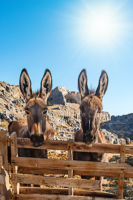 포토 JPG 해외이미지 구름 전통 여행 건축양식 하늘 휴가 사람없음 여름 파란색 울타리 햇빛 태양 마을 맑음 광선 승차 지중해 그리스 타운 그리스인 아크로폴리스 해외202008 해외포토 자연요소 서양인 계절 건축 유럽 바다 컬러 모션 날씨 담장 도시 파일형식