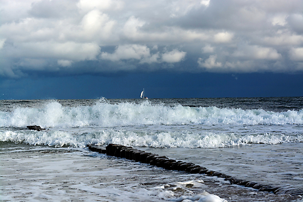 포토 JPG 해외이미지 유럽 단풍 자연 바람 독일 풍경 사람없음 야외 물 추위 가을 시원함 폭풍 10월 소금물 짠맛 폭풍우 해외202008 해외포토 자연요소 계절 나라 잎 날씨 비_날씨 날짜 맛 자연재해 생태계 파일형식