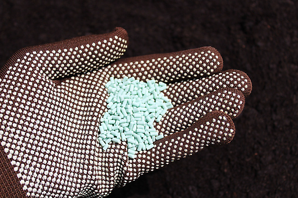 포토 JPG 해외이미지 동물 손 장갑 자연 사람없음 정원 달팽이 내추럴 농약 해외202008 해외포토 잡화 연체동물 신체부위 생태계 파일형식