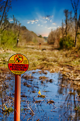 포토 JPG 해외이미지 자연 하늘 사람없음 물 파란색 환경 습지 석유 숲 파이프라인 해외202008 해외포토 자연요소 컬러 생태계 파이프_관 파일형식
