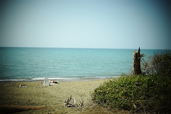 포토 JPG 해외이미지 나무 유럽 바다 자연 휴가 풍경 해변 사람없음 야외 목재 여름 태양 이탈리아 안개 소나무 황무지 분위기 숲 지중해 토스카나 해외202008 해외포토 자연요소 식물 계절 나라 컨셉 재료 날씨 생태계 파일형식