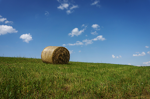 포토 JPG 해외이미지 식물 구름 계절 산업 음식 백그라운드 밭 농업 자연 하늘 건조 풍경 초원 사람없음 야외 초록색 여름 농작물 농장 농경지 노란색 쌓기 장비 수확 시골 원형 황금 건초더미 볏짚 먹이 땅 밀 뭉치 밀짚 밭일 해외202008 해외포토 자연요소 도형 컬러 모션 곡류 건초 짚 생태계 파일형식 더미