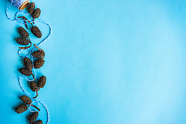 포토 JPG 해외이미지 리본 백그라운드 컨셉 크리스마스 겨울 휴가 프레임 사람없음 파란색 축제 신용카드 원뿔 파스텔톤 카피스페이스 해외202008 해외포토 도형 계절 기념일 컬러 금융 공백 파일형식