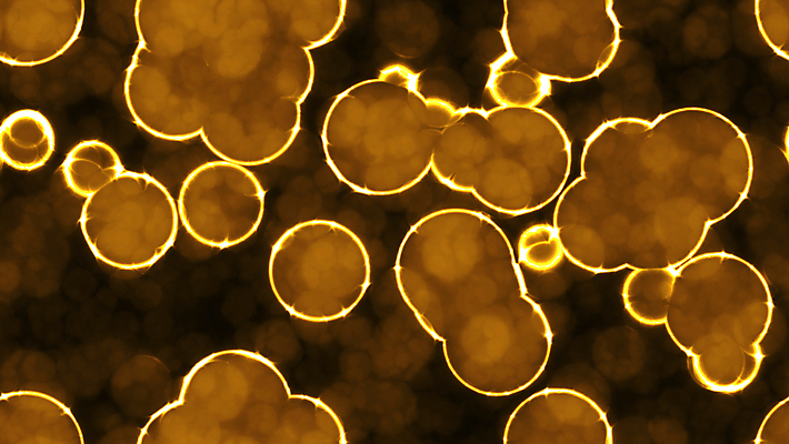 포토 JPG 해외이미지 공 세포 사람없음 빛 거품 반지 광택 풍선 형광등 야광 방광 광 볼록 해외202008 해외포토 컨셉 장신구 전등 비뇨기관 파일형식