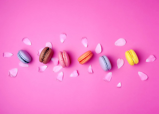 포토 JPG 해외이미지 휴가 디저트 사람없음 마카롱 분홍색배경 해외202008 해외포토 음식 분홍색 백그라운드 파일형식